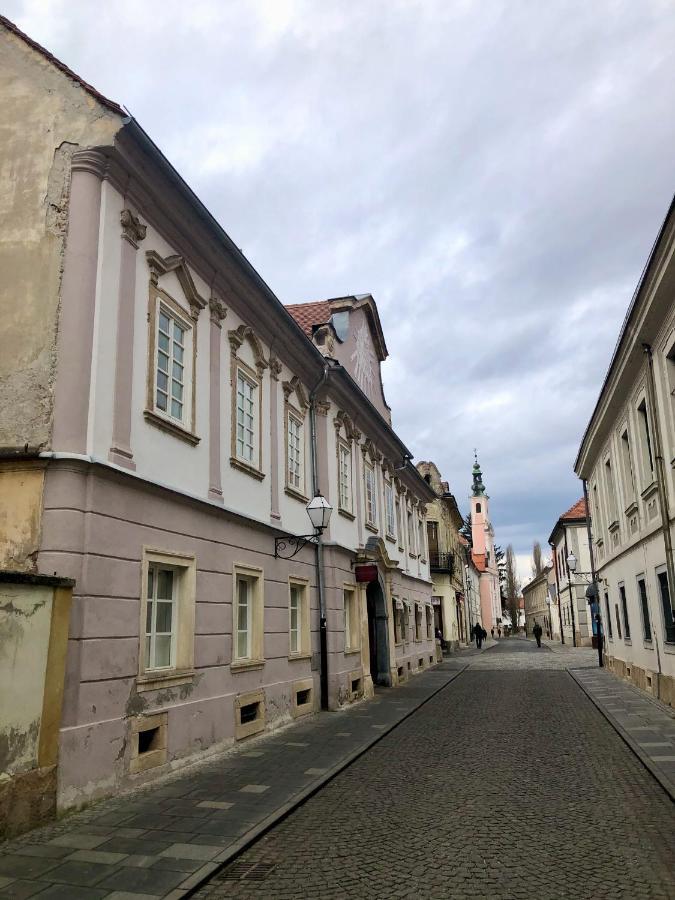 Little Vienna Gold Apartment Varazdin Bagian luar foto